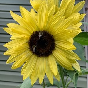 Meet your Posher, Jodi